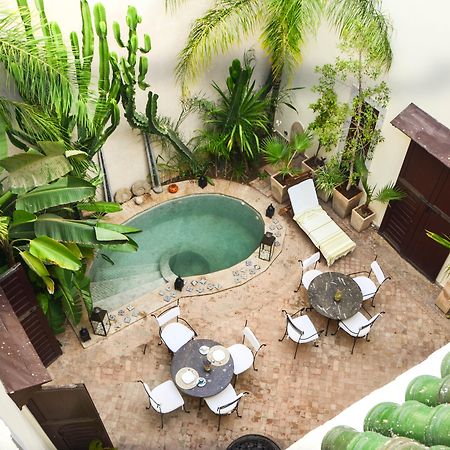 Riad Les Ammonites And Spa Marrakesh Eksteriør bilde